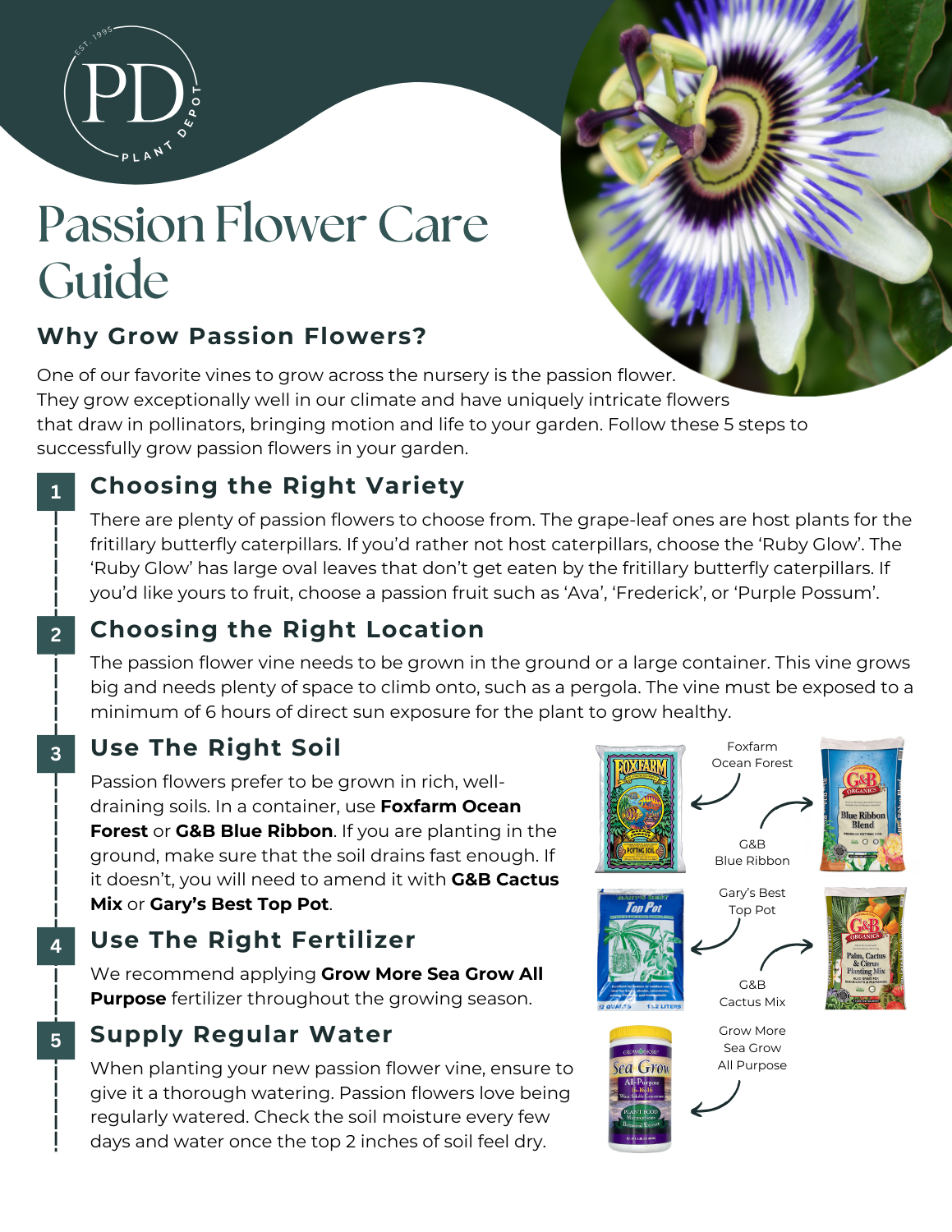 Passion Flower Care Guide — Plant Depot